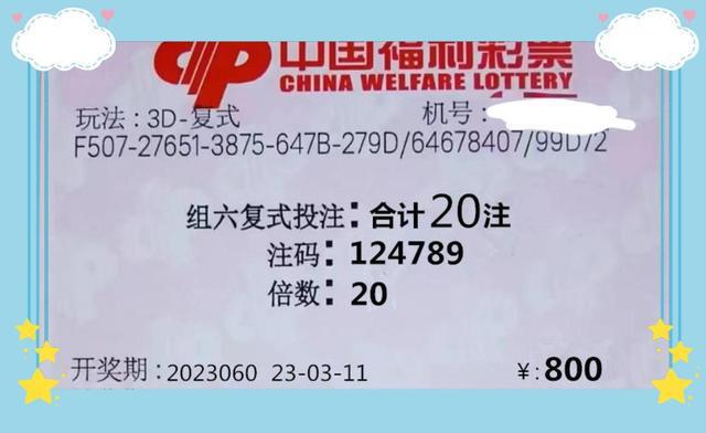 新澳好彩免费资料查询2024，经典解答解释落实_3D10.96.62