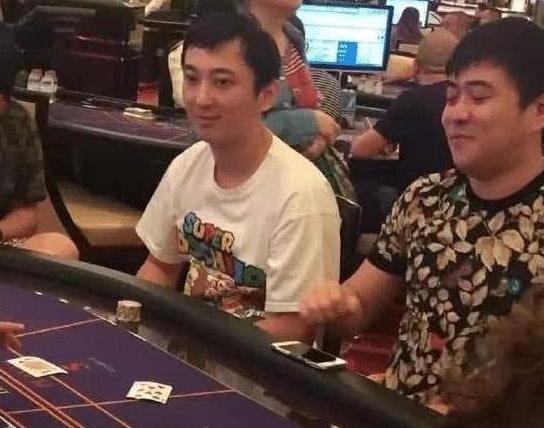 澳门天天彩资料自动更新手机版，全面解答解释落实_GM版27.49.36