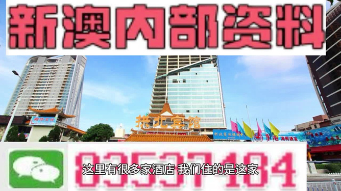2024年新澳门正版资料，精准解答解释落实_Sims38.71.34